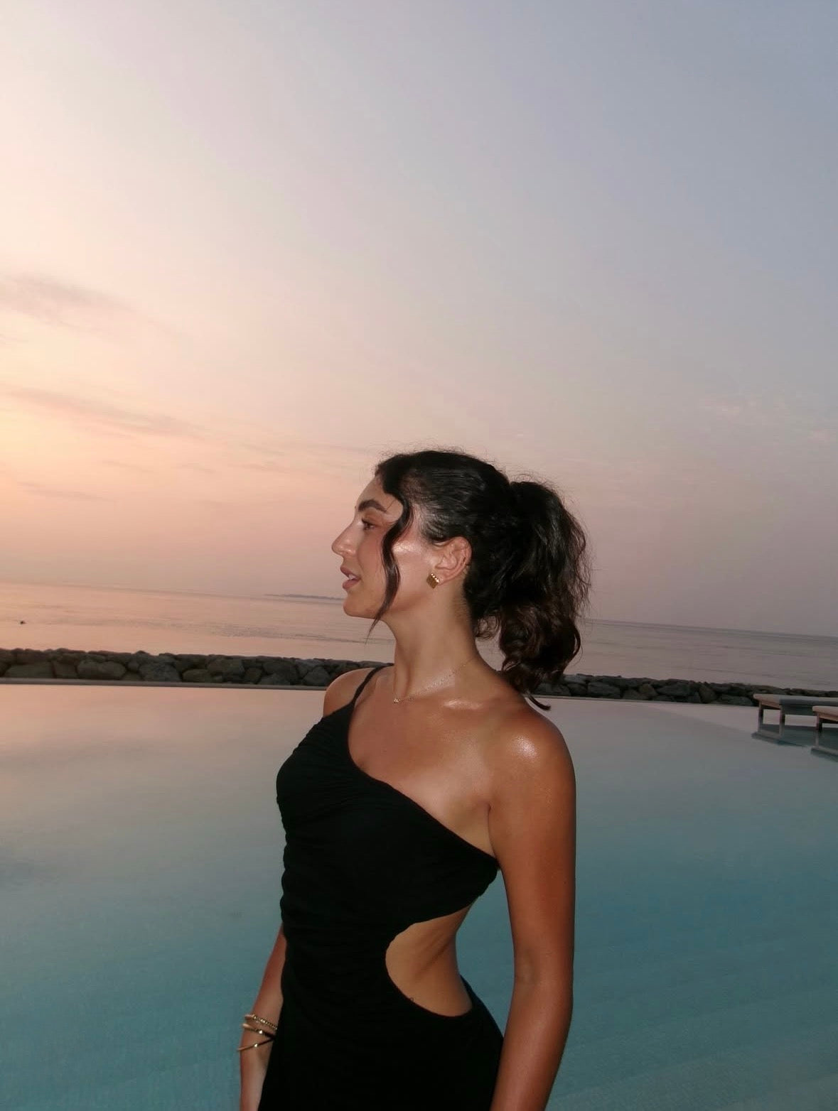 Sndys the label Monaco Dress in Black